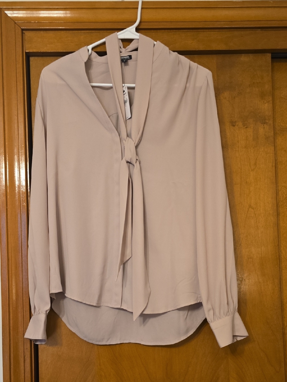Express Blush Tie-Neck Blouse